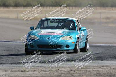 media/Oct-21-2023-Speed Ventures (Sat) [[ddf75163c5]]/Green/Grapvine/